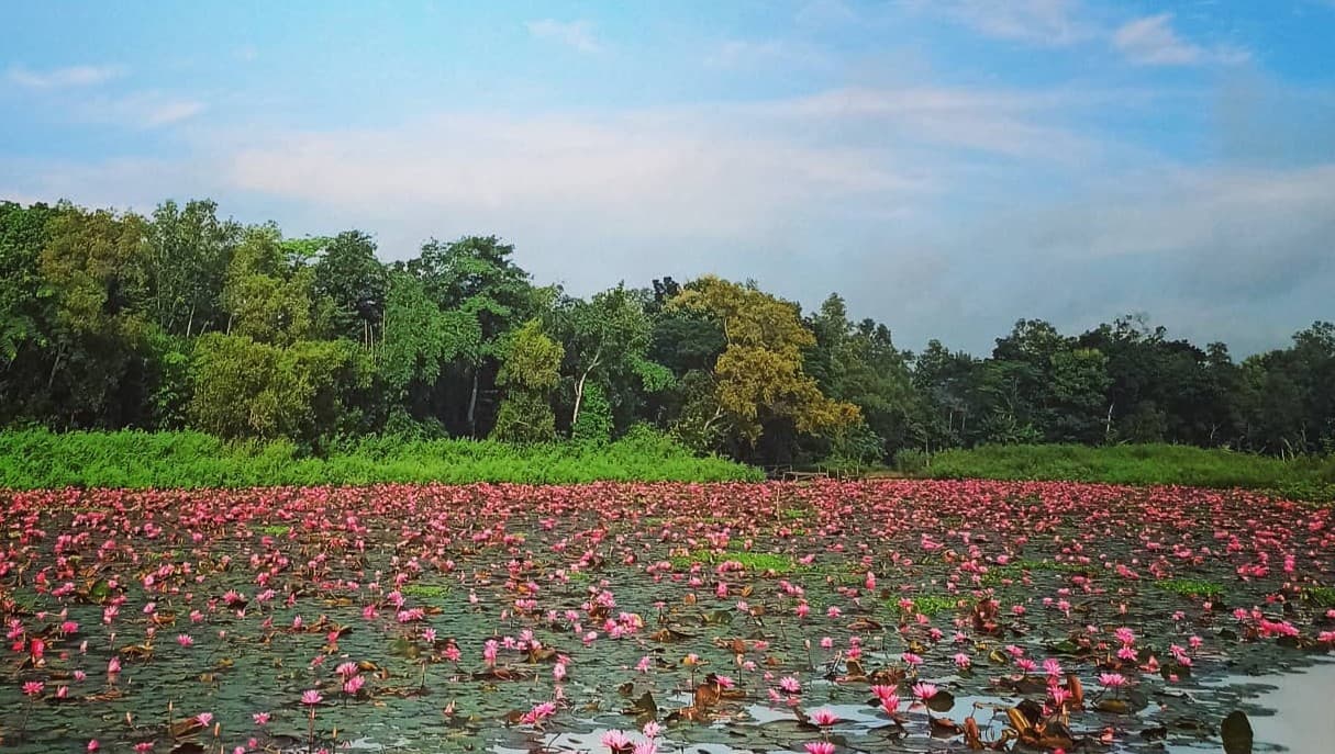 Pemandangan Desa Kedungdowo